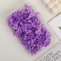 Pétalos de hortensia púrpura preservada en caja para manualidades y decoración DIY - 5g / Morado
