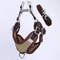 Brown nylon and faux suede dog harness set with reflective trim and metal buckles - Size S (Recommended 3-6 lbs) / Brown Harness + 1.2m Leash