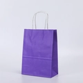Purple kraft paper gift bag with white twisted rope handles on a clean white background - Medium Vertical 21*11*27cm / Dark Purple