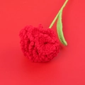 Handmade red crochet carnation bouquet with green leaf on a vibrant red background - Carnation / Red