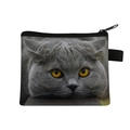 Cute gray British Shorthair cat coin purse with yellow eyes and a black zipper closure - Grey Cat with Yellow Eyes