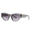 Moderne Katzenaugen Sonnenbrille mit grauem transparentem Rahmen und lila Farbverlauf - Transparenter Grauer Rahmen Graue Gläser