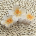 Three-piece set of gradient orange plumeria hair claws in various sizes on straw background - Triple Petal Flower [White]