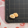 Miniatur-Harz-Dampfbrötchen-Anhänger mit Füllungsdetails auf CM-Skala-Lineal - Krabbenrogen-Brötchen