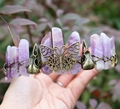 Detail of amethyst crystal crown with bronze butterfly and bird skull elements - Butterfly Raven Skull Style / Purple Jade/Antique Bronze Wire
