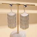 Detailed macro view of silver fan-shaped tassel earrings on a golden display stand - Silver
