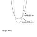 Double layered stainless steel necklace with snake bone and twist rope chain in silver finish - Silver