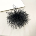 Macro detail of natural black ostrich feather brooch with fine textures for party wear - Black