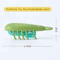 Interactive electric green bug cat toy for self-play with visible motor mechanism - 5-Legged Bug / Green