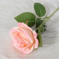 Artificial velvet rose in soft pink gradient with green leaves on plush background - Pink Champagne
