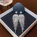 Elegant S925 silver tassel earrings with shimmering cubic zirconia in gift box - E0316 Silver Needle (Full Diamond Dynamic Long Tassel Silver)