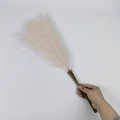 Handheld bundle of 55cm artificial pampas grass in cream white for boho home decor - 53-55cm / Champagne
