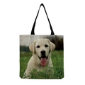 Labrador Puppy in Grass (hm5160)