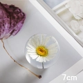 7cm crystal ball paperweight with real white daisy dried flower inside - Oxeye Daisy Ball 7cm (Kraft Box)