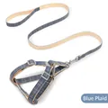 Adjustable blue plaid dog harness and leash set with durable metal D-ring and buckle - 2.0cm / Blue Plaid