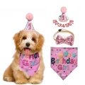 Pink Birthday Girl pet set with floral hat, sequin bowtie, and custom number bib - Pink Hat + Bandana + Bow Tie + Pink Number Set