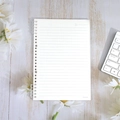 Lined refill paper for B5 binder with date section and pre-punched holes for journaling - B5-26 Holes / Transparent - (2 Pieces Including Clips)