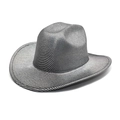 Dettaglio del cappello da cowboy occidentale a strisce argento e nere lucide - M (56-58cm) / Grigio Argento