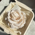 Elegant cream fabric camellia hair claw clip in a minimalist white gift box display - 9.5CM / Light Beige