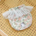 Floral print dog physiological pants with white lace trim and breathable mesh fabric - Pink Flower Green Leaf