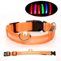 Collier lumineux à LED orange pour chien avec recharge USB et sangle en nylon réglable en S - XXL-Pile / Orange
