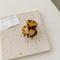 Detalle de una pequeña pinza para el pelo de acetato de leopardo sobre superficie de piedra - Estampado de Leopardo Oscuro