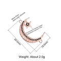 Rose gold moon and star pendant charm with AAA cubic zirconia in environment-friendly copper - Rose Gold Crescent Star with Black Zirconia (L0483-C)