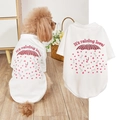Close-up of breathable mesh pet t-shirt featuring love heart and umbrella print detail - White Heart Umbrella