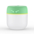 Mini USB-luchtbevochtiger met schattig cartoongezicht en lichtgevende LED-ogen in mintgroen - Vogel / Groen