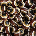 Brown and white striped resin evil eye beads for DIY jewelry and beaded crafts - Brown