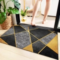 Absorbent bathroom rug with geometric design on wood floor near monstera plant - Nordic Metallic Geometric 10