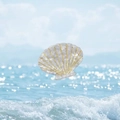 Detailed close-up of shell shaped acetate hair claw with golden lines on beach background - White Shell