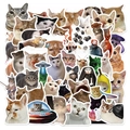 50 Stück lustige Katzen-Meme-Aufkleber mit viralen Internet-Kätzchen und humorvollen Texten - DD299 Lustige Katze - Potenzielle Neuheit