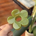 Pince à cheveux fleur vert olive de 8cm avec boucle papillon sous lumière naturelle - Moyen (8cm) / Vert Semis