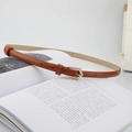 Sottile cintura in pelle marrone con fibbia a freccia dorata su un libro aperto - Cachi