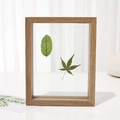 Square double-sided glass floating frame in light wood with real leaf specimens - Tan