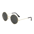 Retro round sunglasses featuring a gold metal frame and dark lenses at a 45-degree angle - Gold Frame Grey Lens