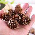 Natural brown pine cones held in hand for Christmas DIY crafts and home decoration - Small Pine Flower 1-2cm (10pcs)