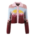 Vintage gebreid damesvest met bloemenborduurwerk en roze kraag in kleurblokken - S / Bordeauxrood