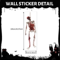 Exposed Viscera Bloody Skeleton (CT24Y10339T_R)