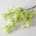 Penglai Pine White