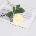 Single cream-colored faux velvet rose on an open magazine for home wedding decor - Silk Champagne
