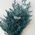Vibrant blue preserved statice dried flower bouquet for DIY floral arrangements - Blue (500g)