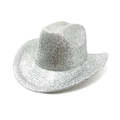 Detail of silver glitter cowboy hat showing wide brim and metallic texture for party - Silver