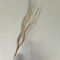 43cm golden Christmas glitter stem with dragon beard texture and sequin bead finish - Without Berries / Champagne Gold