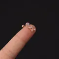 Rose gold flower helix stud earring with clear zircon and screw ball back closure - Flower Branch (347-8#R)
