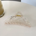 Macro detail of a 12cm transparent pink triangle hair claw clip with a gold metal spring - Transparent Champagne