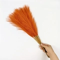 Hand holding a 55cm bouquet of artificial orange pampas grass for boho home decor - 53-55cm / Orange
