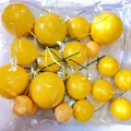 Bulk pack of shiny yellow gold decorative spheres in a clear bag for cake toppers - Yellow Ball Mixed Set