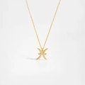 Detailed macro view of the golden Pisces zodiac necklace pendant with sparkling zircon stones - Pisces